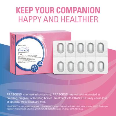 Show full view: Prascend (Pergolide) Tablets for Horses, 1-mg, 60 tablets slide 7 of 11