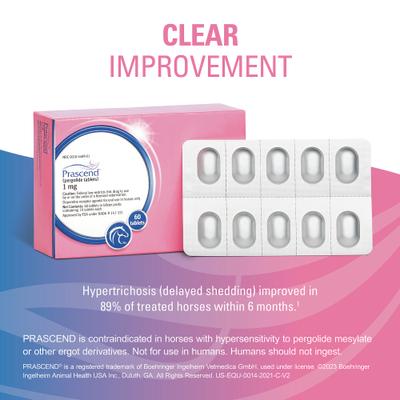 Show full view: Prascend (Pergolide) Tablets for Horses, 1-mg, 60 tablets slide 5 of 11