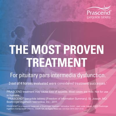 Show full view: Prascend (Pergolide) Tablets for Horses, 1-mg, 60 tablets slide 3 of 11