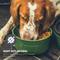 Show in main carousel: GUNNER Spill-Proof Lid Non-Skid Plastic Dog Bowl, Duck Green slide 6 of 7
