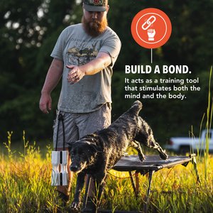 GUNNER Bumper Dog Training Tool, White