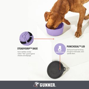 GUNNER Spill-Proof Lid Non-Skid Plastic Dog Bowl, Lavender