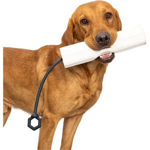 GUNNER Bumper Dog Training Tool, White