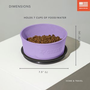 GUNNER Spill-Proof Lid Non-Skid Plastic Dog Bowl, Lavender