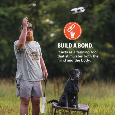 Show full view: GUNNER Bumper Dog Training Tool, Flasher slide 4 of 7