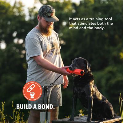 Show full view: GUNNER Bumper Dog Training Tool, Orange slide 4 of 7