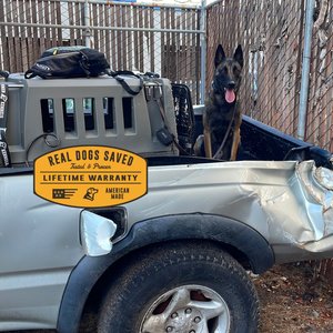GUNNER G1 Double-Walled Dog Kennel, Gunmetal, Intermediate