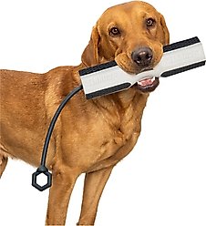 GUNNER Bumper Dog Training Tool, Flasher