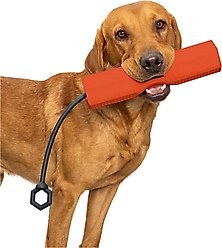 GUNNER Bumper Dog Training Tool, Orange