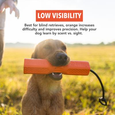 Show full view: GUNNER Bumper Dog Training Tool, Orange slide 5 of 7