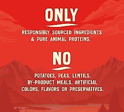 Stella & Chewy's Wild Red Raw Blend Kibble Wholesome Grains Prairie Recipe Dry Dog Food, 21-lb bag slide 2 of 8