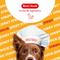 Show in main carousel: Beefeaters Duck Strips Jerky Dog Treats, 1.58-oz bag, case of 12 slide 5 of 9