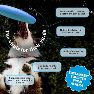 Show full view: Pet Honesty Wild Alaskan Salmon Oil Omega-3 & Joint Supplement for Dogs & Cats, 16-fl oz bottle slide 3 of 13