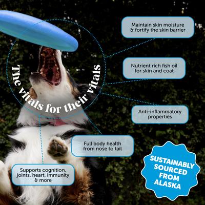 Show full view: Pet Honesty Wild Alaskan Salmon Oil Omega-3 & Joint Supplement for Dogs & Cats, 32-fl oz bottle slide 3 of 13