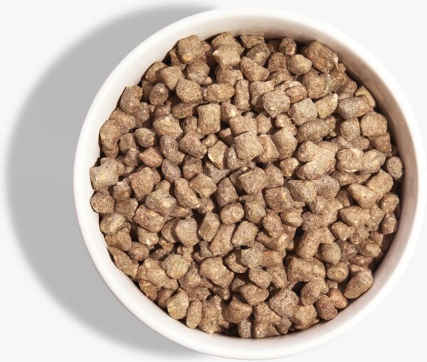 Little Hunter Raw Beef Recipe Grain-Free Freeze-Dried Dog Food, 15-oz bag