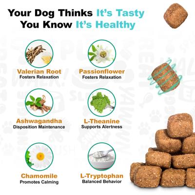 Show full view: Doggie Dailies Peanut Butter Flavored Calming Soft Chew Dog Supplement, 225 count slide 10 of 11