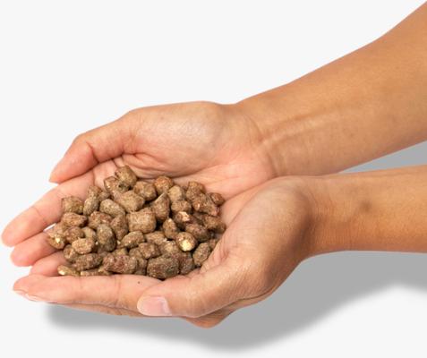 Show full view: Little Hunter Raw Beef Recipe Grain-Free Freeze-Dried Dog Food, 15-oz bag slide 4 of 6