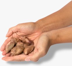 Little Hunter Chicken Heart Grain-Free Freeze-Dried Dog Treats, 2-oz bag slide 2 of 4