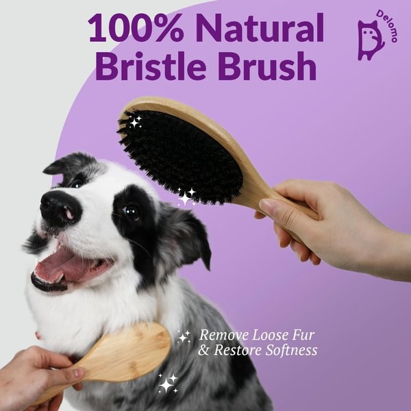 Delomo Undercoat Rake & Bristle Brush Set Dog & Cat Grooming Kit