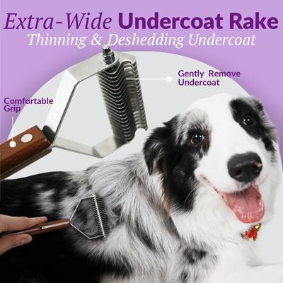 Show full view: Delomo Undercoat Rake & Bristle Brush Set Dog & Cat Grooming Kit slide 4 of 9