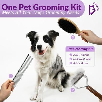 Show full view: Delomo Undercoat Rake & Bristle Brush Set Dog & Cat Grooming Kit slide 2 of 9