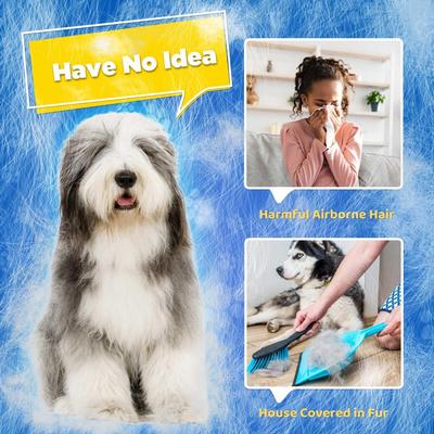 Show full view: Delomo Dog, Cat Horse & Small Pet Grooming Glove, Blue slide 9 of 11