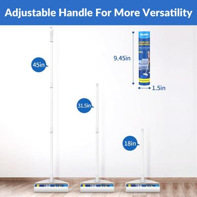 Show full view: Delomo Extendabe Handle 9.45-in Pet Hair Remover slide 4 of 9