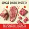 Show in main carousel: Stella & Chewy's SuperBlends Grass-Fed Beef Recipe Meal Mixers Freeze-Dried Raw Dog Food Topper, 3.25-oz bag slide 6 of 13