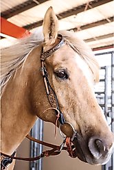 Circle Y Blooming Wild One Ear Horse Headstall, Vintage slide 2 of 4
