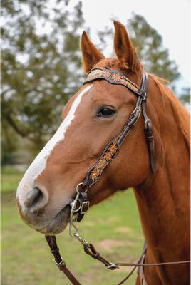 Show full view: Circle Y Python Pass Browband Horse Headstall, Vintage, 35 to 43-in slide 3 of 3