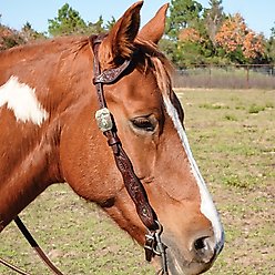 Circle Y Great Oak One Ear Horse Headstall, Walnut, 33 to 41-in slide 2 of 4