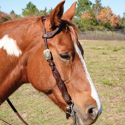 Show full view: Circle Y Great Oak One Ear Horse Headstall, Walnut, 33 to 41-in slide 4 of 4