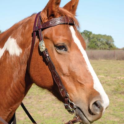 Show full view: Circle Y Oakwood Horse Breast Collar, Heavy Oil slide 4 of 4