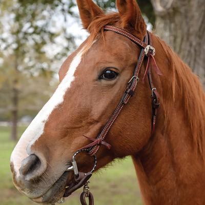 Show full view: Circle Y Burnett Browband Horse Headstall, Chestnut, 33 to 41-in slide 4 of 4