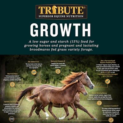 Show full view: Tribute Equine Nutrition Growth Pellet Low-NSC, Molasses-Free Horse Feed, 50-lb bag slide 5 of 8