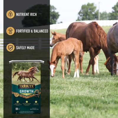 Show full view: Tribute Equine Nutrition Growth Pellet Low-NSC, Molasses-Free Horse Feed, 50-lb bag slide 3 of 8
