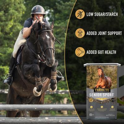 Show full view: Tribute Equine Nutrition Senior Sport High Fiber, High Fat Horse Feed, 50-lb bag slide 7 of 9