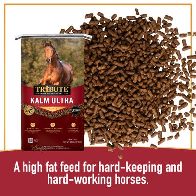 Show full view: Tribute Equine Nutrition Kalm Ultra High Fat Horse Feed, 50-lb bag slide 4 of 8