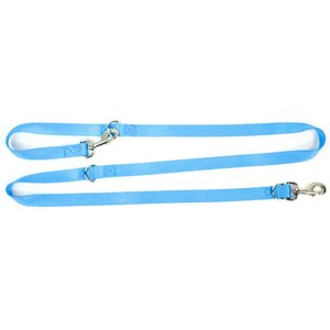 Blue-9 Pet Products Multi-Function Double Attachment Hands-Free Dog Leash, Sky Blue, Medium/Large: 6-ft long, 1-in wide