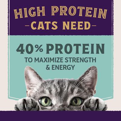 Show full view: Natural Balance Ultra Protein Plus Immune & Digestive Health Chicken & Chicken Meal Dry Cat Food, 2.5-lb bag slide 5 of 11