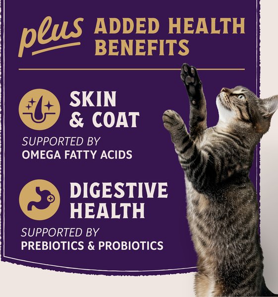 Natural Balance Ultra Protein Plus Skin & Coat & Digestive Health Salmon & Chicken Meal Recipe Dry Cat Food