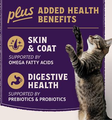 Show full view: Natural Balance Ultra Protein Plus Skin & Coat & Digestive Health Salmon & Chicken Meal Recipe Dry Cat Food, 5-lb bag slide 7 of 11