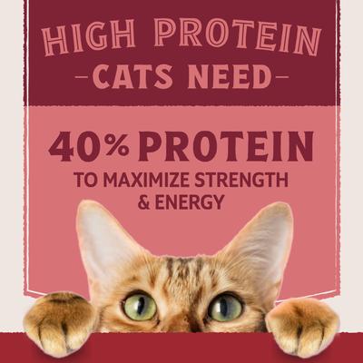 Show full view: Natural Balance Ultra Protein Salmon & Chicken Meal Recipe Dry Cat Food, 10-lb bag slide 5 of 11