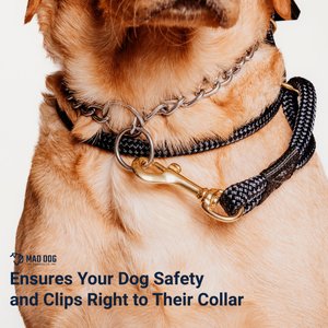 Mad Dog Products English Slip/Safety Strap Combo Dog Leash, Black, 6-ft long, 1/4-in wide