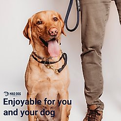 Mad Dog Products English Slip/Safety Strap Combo Dog Leash, Pink, 6-ft long, 3/8-in wide slide 2 of 4