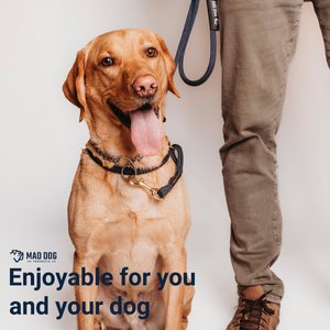 Mad Dog Products English Slip/Safety Strap Combo Dog Leash, Black, 6-ft long, 1/4-in wide