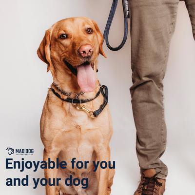 Show full view: Mad Dog Products English Slip/Safety Strap Combo Dog Leash, Royal Blue, 6-ft long, 3/8-in wide slide 4 of 8