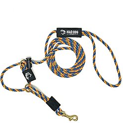 Mad Dog Products English Slip/Safety Strap Combo Dog Leash, Rainbow, 6-ft long, 1/4-in wide