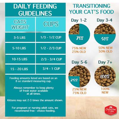 Show full view: Chicken Soup for the Soul Salmon & Legumes Recipe Grain-Free Dry Cat Food, 12-lb bag slide 8 of 10