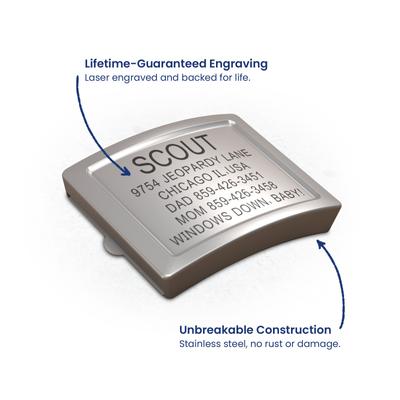 Show full view: DOG iD Personalized Stainless Steel Graphite Dog ID Tag & Collar, Red, Medium/Large: 14.25 to 22.75-in neck, 1-in wide slide 5 of 7